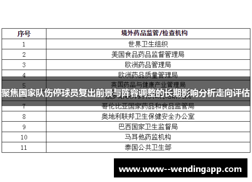 聚焦国家队伤停球员复出前景与阵容调整的长期影响分析走向评估