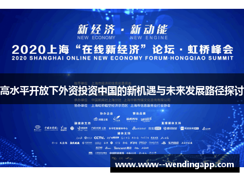 高水平开放下外资投资中国的新机遇与未来发展路径探讨