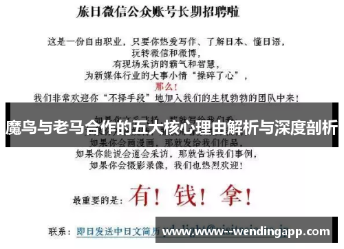 魔鸟与老马合作的五大核心理由解析与深度剖析