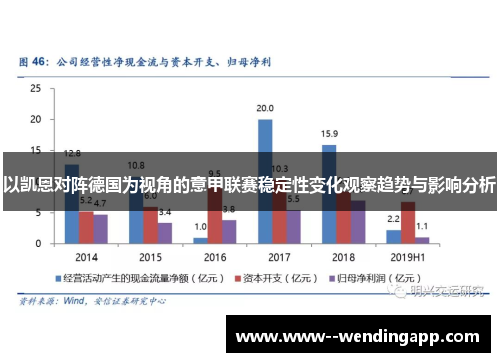 以凯恩对阵德国为视角的意甲联赛稳定性变化观察趋势与影响分析